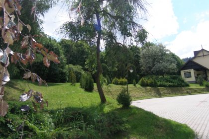 obiekt konferencyjny - Centrum Szkolenia Leśnego Zakładu Doświadczalnego - zdjęcie 2