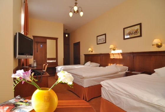 hotel *** - Hotel Stefania*** - Pokoje - zdjęcie 1