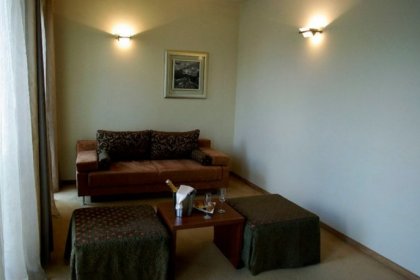 hotel *** - Hotel Poleski*** - zdjęcie 13