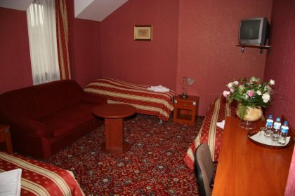 hotel *** - Hotel Zajazd Celtycki - zdjęcie 6
