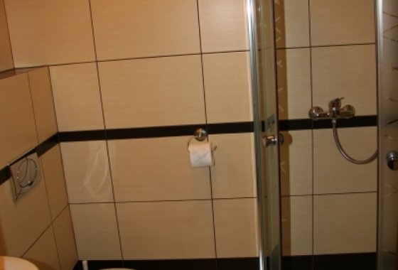 hotel *** - Hotel Zajazd Celtycki - Pokoje - zdjęcie 4