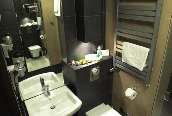 hotel *** - Hotel Niepołomice*** - Pokoje - zdjęcie 5