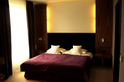 hotel *** - Hotel Niepołomice*** - zdjęcie 12