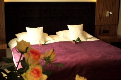 hotel *** - Hotel Niepołomice*** - zdjęcie 11