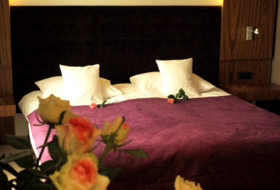 hotel *** - Hotel Niepołomice*** - Pokoje - zdjęcie 9