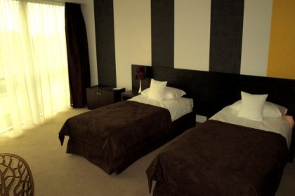 hotel *** - Hotel Niepołomice*** - zdjęcie 4