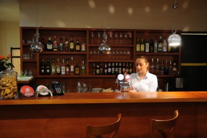 hotel *** - Hotel Niepołomice*** - zdjęcie 14