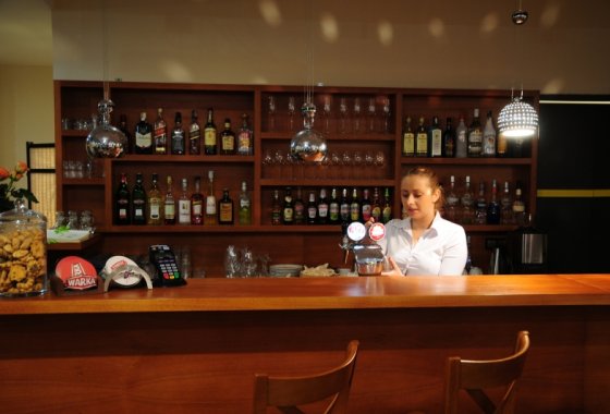 hotel *** - Hotel Niepołomice*** - Usługi - zdjęcie 3