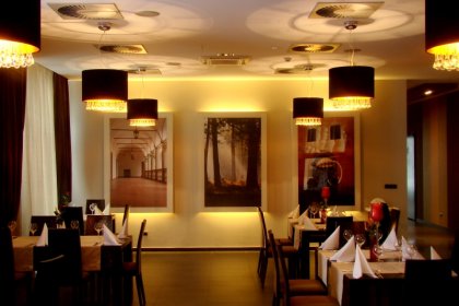 hotel *** - Hotel Niepołomice*** - zdjęcie 17