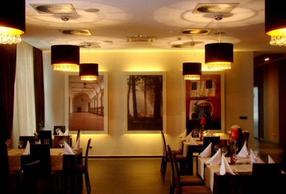 hotel *** - Hotel Niepołomice*** - Usługi - zdjęcie 6