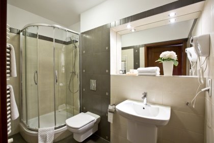 hotel *** - Hotel Benefis - zdjęcie 8