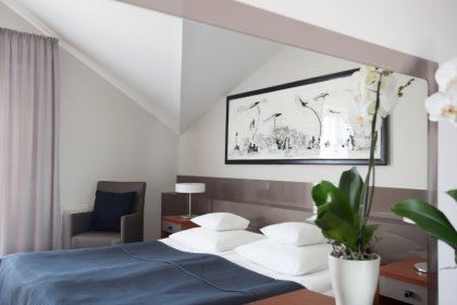 hotel *** - Hotel Benefis - zdjęcie 9