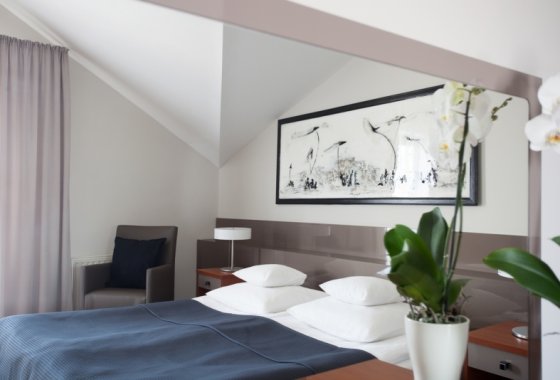 hotel *** - Hotel Benefis - Pokoje - zdjęcie 5
