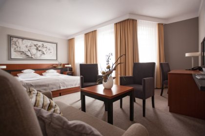 hotel *** - Hotel Benefis - zdjęcie 10