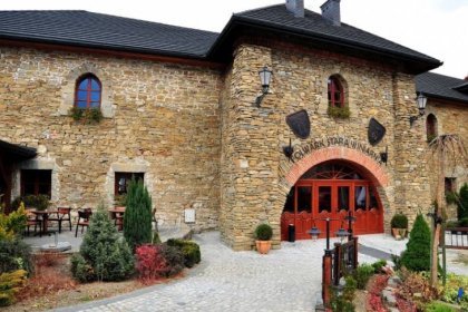 hotel *** - Hotel Folwark Stara Winiarnia - zdjęcie 2