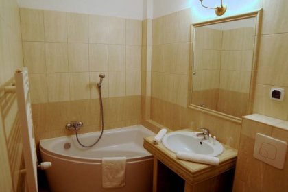 hotel *** - Hotel Folwark Stara Winiarnia - zdjęcie 14