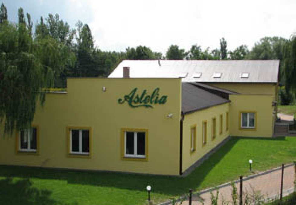 inny - Astelia