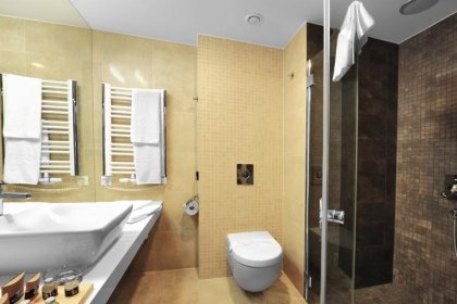 hotel **** - Hotel BUKOVINA**** - zdjęcie 14