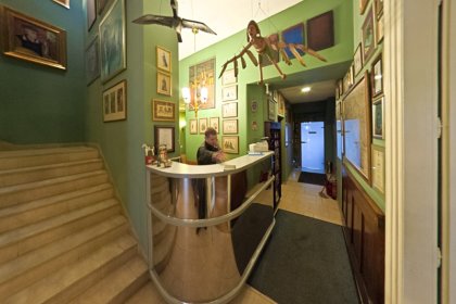 hotel *** - Hotel Alef*** - zdjęcie 6