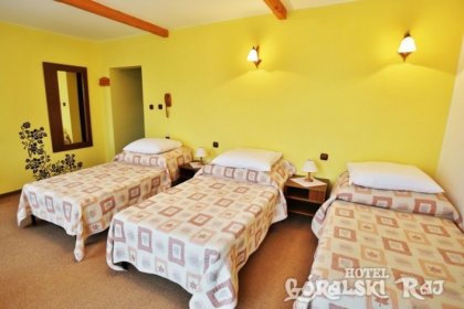 hotel *** - Hotel Góralski Raj*** - zdjęcie 7