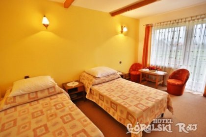 hotel *** - Hotel Góralski Raj*** - zdjęcie 6