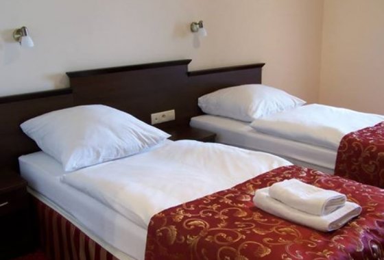 hotel - Hotel i Gospoda Tadeusz - Pokoje - zdjęcie 2