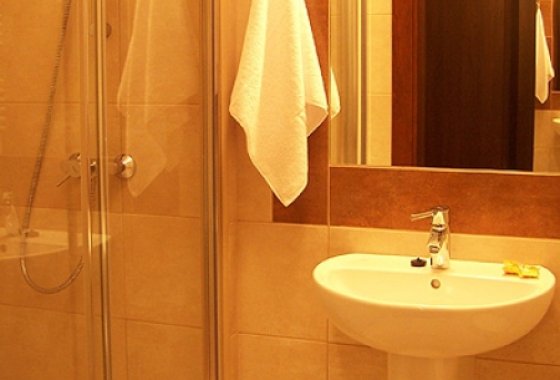 hotel - Hotel i Gospoda Tadeusz - Pokoje - zdjęcie 4