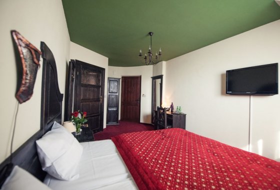 hotel *** - Hotel Kasztel*** - Pokoje - zdjęcie 3