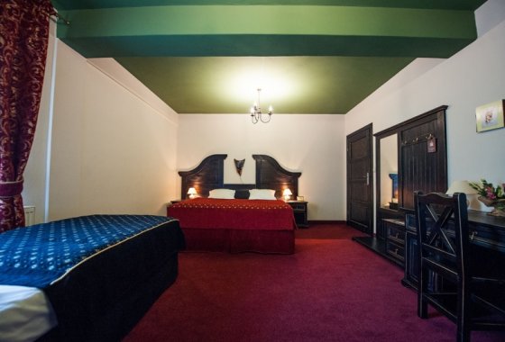hotel *** - Hotel Kasztel*** - Pokoje - zdjęcie 5