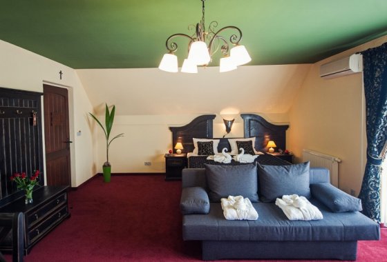 hotel *** - Hotel Kasztel*** - Pokoje - zdjęcie 7
