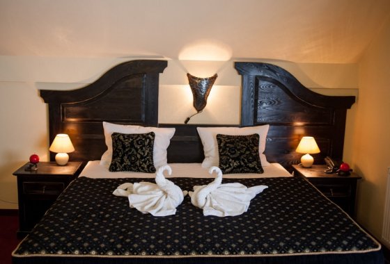 hotel *** - Hotel Kasztel*** - Pokoje - zdjęcie 9