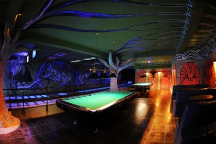 hotel *** - Hotel Kasztel*** - zdjęcie 16
