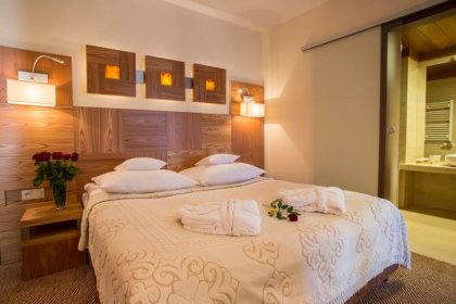 hotel *** - Hotel*** Zbójnicówka - zdjęcie 10