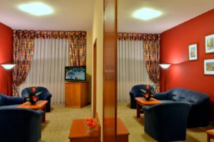 hotel *** - Hotel Polonez*** - zdjęcie 8
