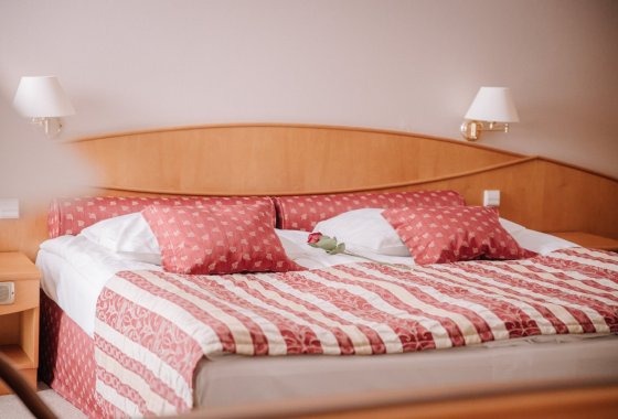 hotel **** - Hotel Atut**** - Pokoje - zdjęcie 8