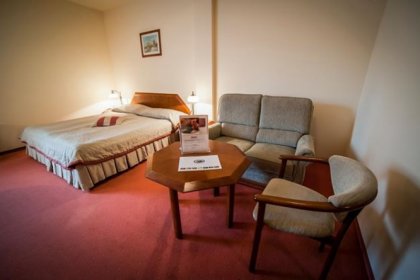 hotel *** - Hotel Piwnica Rycerska*** - zdjęcie 5