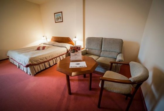 hotel *** - Hotel Piwnica Rycerska*** - Pokoje - zdjęcie 2