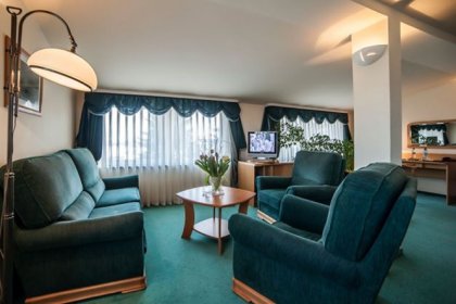 hotel *** - Hotel Piwnica Rycerska*** - zdjęcie 6