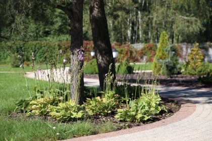 hotel - Hotel Chynów - zdjęcie 12