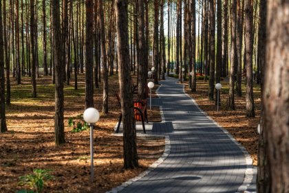 hotel *** - Hotel Korona*** - zdjęcie 11