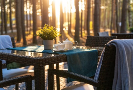 hotel *** - Hotel Korona*** - Usługi - zdjęcie 21