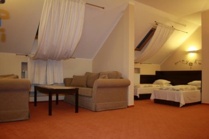 hotel - Hotel i Restauracja Palladium - zdjęcie 5