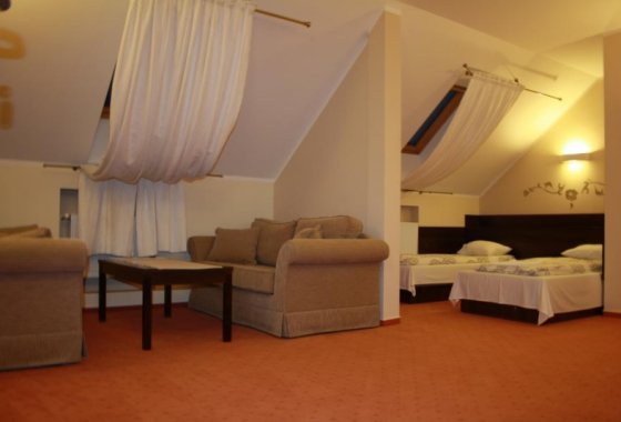 hotel - Hotel i Restauracja Palladium - Pokoje - zdjęcie 2
