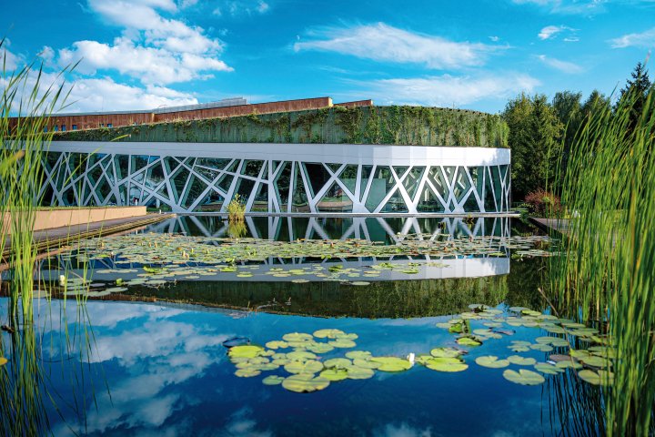 Hotel Narvil Conference & Spa