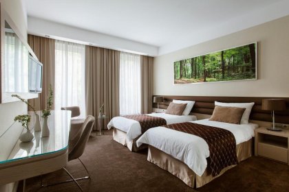 hotel **** - Hotel Narvil Conference & Spa - zdjęcie 14