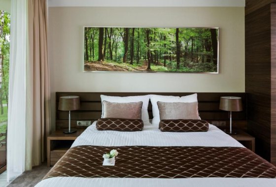 hotel **** - Hotel Narvil Conference & Spa - Pokoje - zdjęcie 10