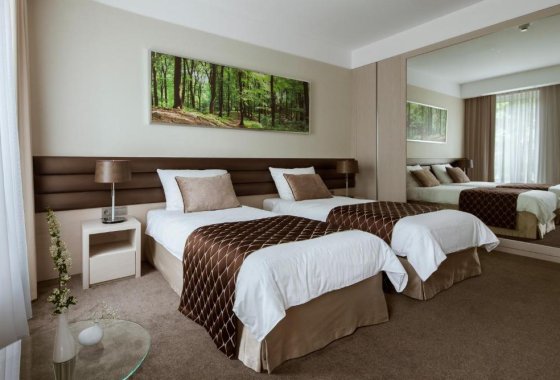 hotel **** - Hotel Narvil Conference & Spa - Pokoje - zdjęcie 11
