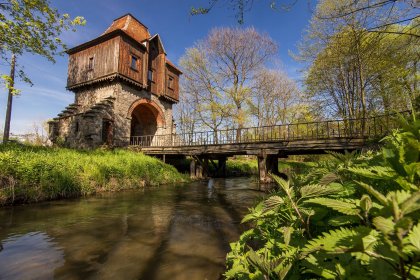 pałac - Pałac Krobielowice - zdjęcie 11