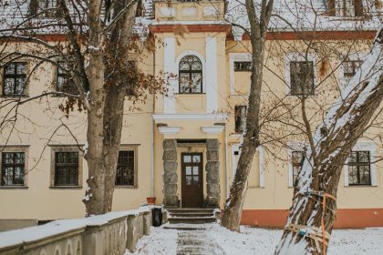 pałac - Pałac Krobielowice - zdjęcie 9