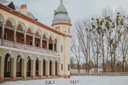 pałac - Pałac Krobielowice - zdjęcie 8